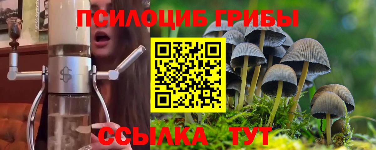Галлюциногенные грибы MAGIC MUSHROOMS Россия