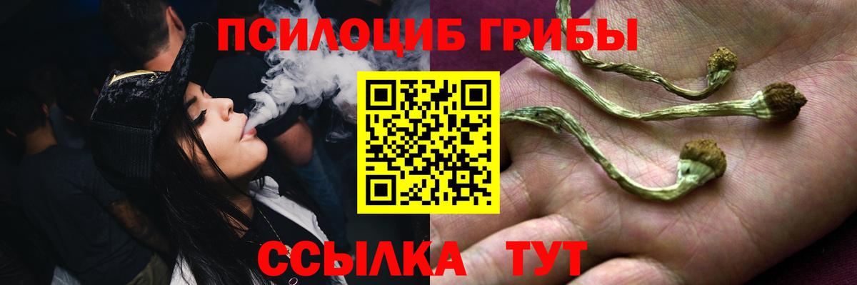 Псилоцибиновые грибы Cubensis  Галлюциногенные грибы Psilocybine cubensis  Россия  где продают наркотики  Вход с VPN 