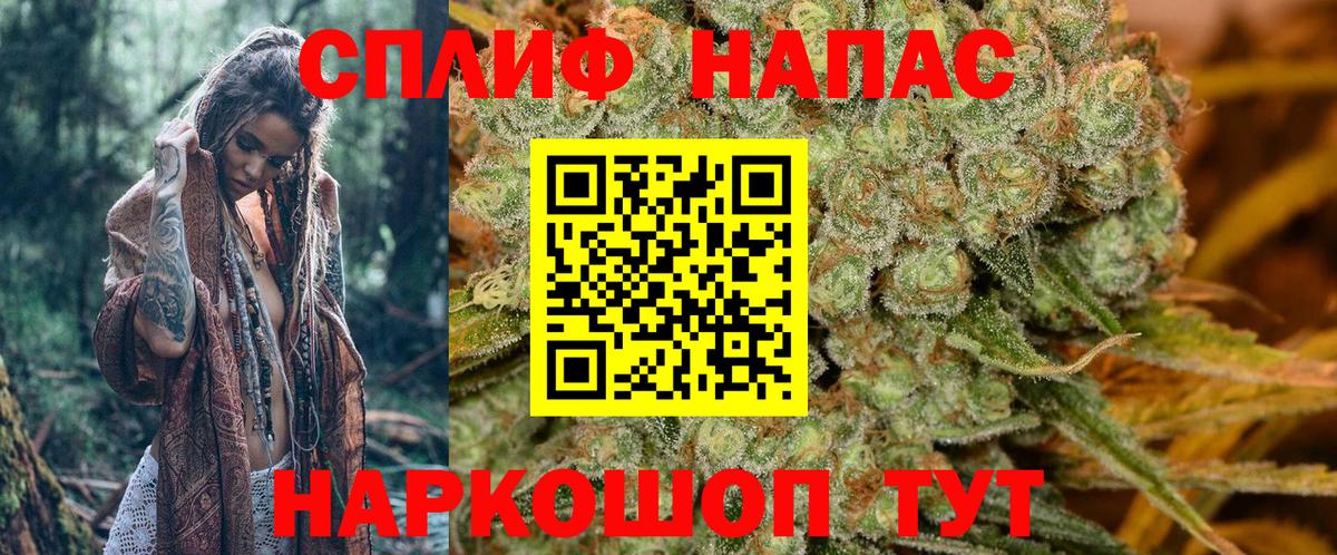 Конопля марихуана Россия